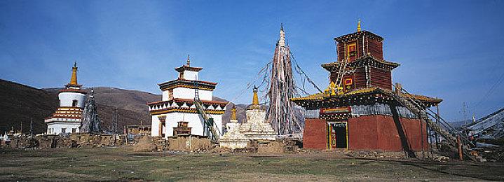 宝可梦大泄露：第十代、开放世界、未来规划一览无遗